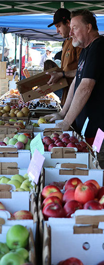 tomatoes and other fresh produce at the farmers market.