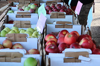 tomatoes and other fresh produce at the farmers market.