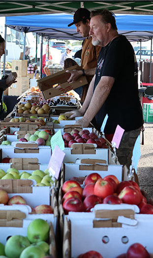 tomatoes and other fresh produce at the farmers market.