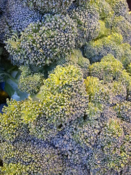 close up of broccoli